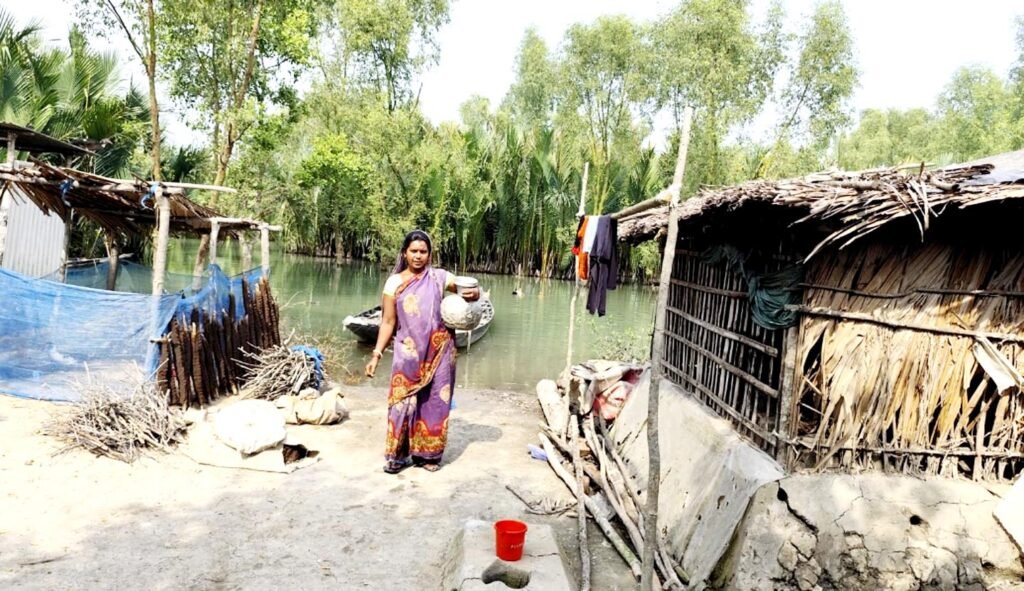 লবণাক্ততার কারণে দক্ষিণাঞ্চলে মাটির উর্বরতা ক্রমান্বয়ে হ্রাস,উৎপাদন ব্যাহত 9 1 1