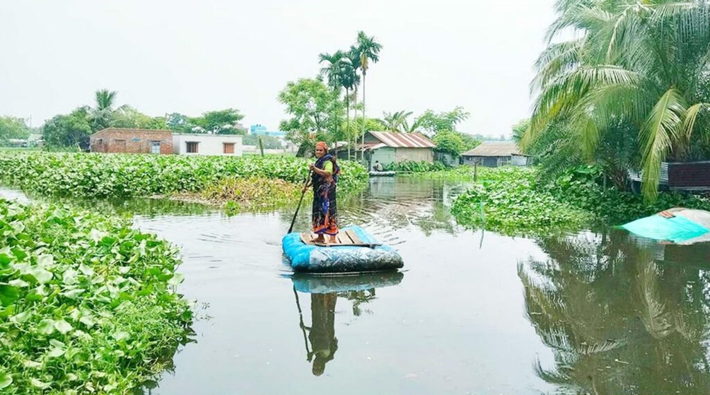 খুলনা ও বরিশাল বিভাগে ধান ও শাকসবজির ব্যাপক ক্ষতি 2 1 7