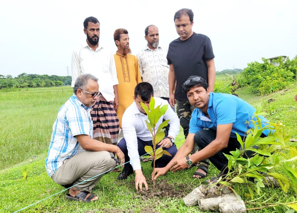 কলাপাড়ায় মাসব্যাপী বৃক্ষরোপণ কর্মসূচির উদ্বোধন 3 14 19