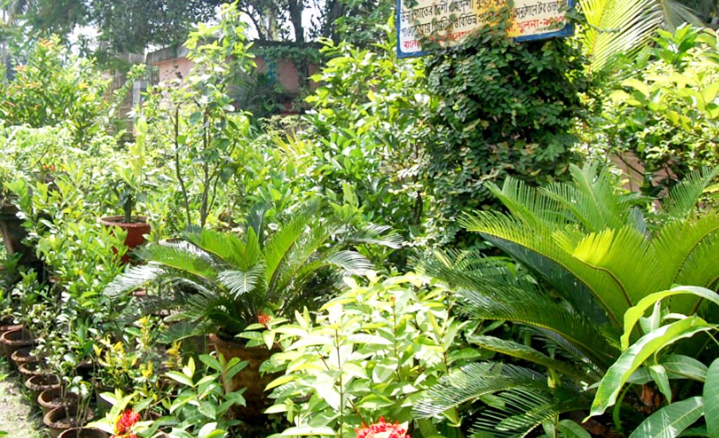 খুলনা জেলায় নার্সারী ব্যবসার প্রসার ঘটছে 7 2 25