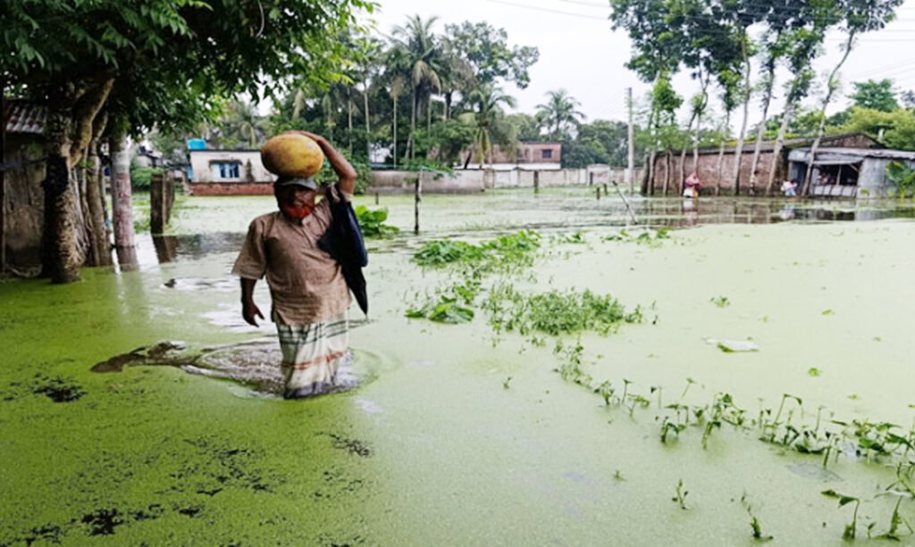 তালায় অতি বৃষ্টিতে ডুবছে ফসল-ঘের 4 4 15