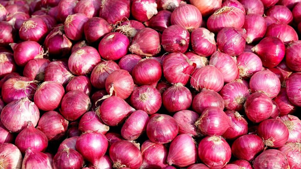 সাড়ে ৫ মাস পর আমদানি হচ্ছে ভারতীয় পেঁয়াজ 2 15 5
