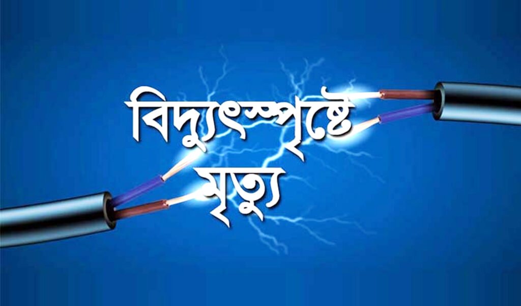 কুষ্টিয়ার ভেড়ামারায় বিদ্যুৎপৃষ্ট হয়ে মা ও ছেলের মৃত্যু 3 16