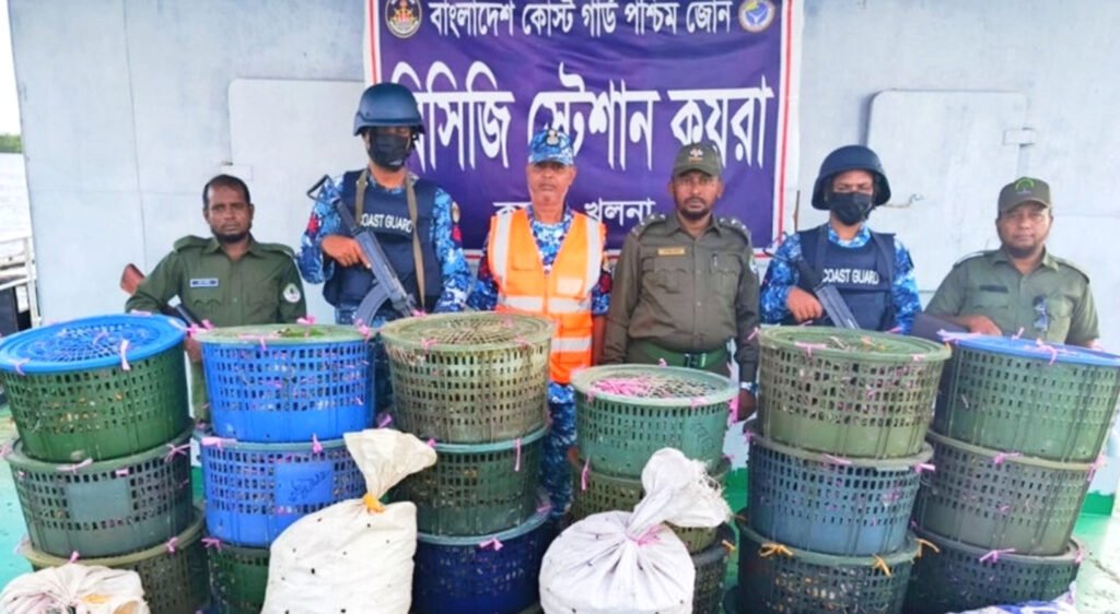 সুন্দরবনে কোস্ট গার্ডের অভিযানে ৮৫০ কেজি অবৈধ কাঁকড়া জব্দ 7 3 25
