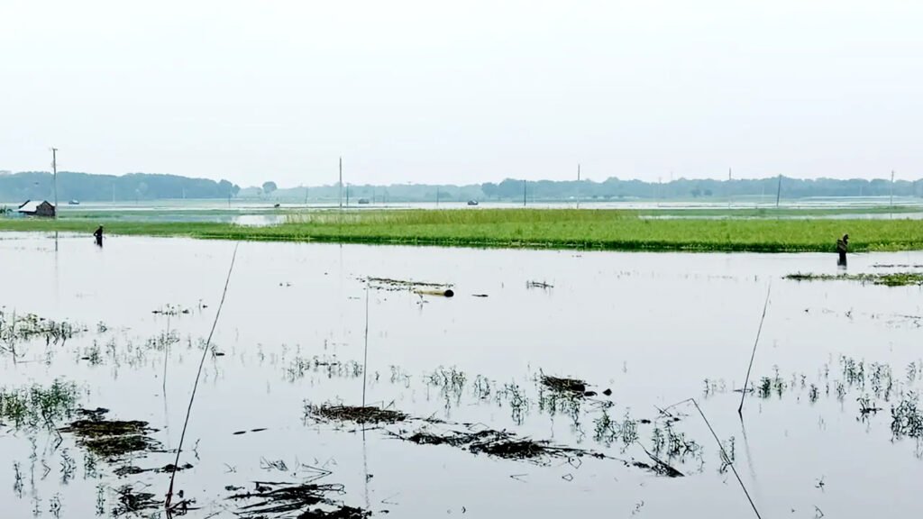 আধা কিলোমিটার ড্রেনের অভাবে ক্ষতিগ্রস্থ প্রায় ১০ হাজার পরিবার 6 3 9
