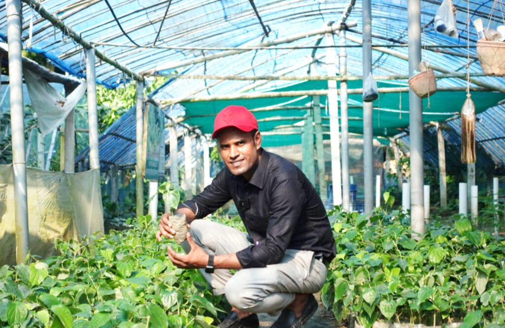 চুইঝাল চাষেই বদলে দিল নবদ্বীপের জীবন 8 1 23