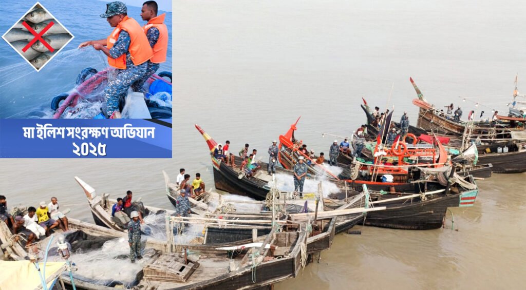 মা ইলিশ সংরক্ষণ অভিযান-২০২৫ বাস্তবায়নে বাংলাদেশ নৌবাহিনী 1 2 3
