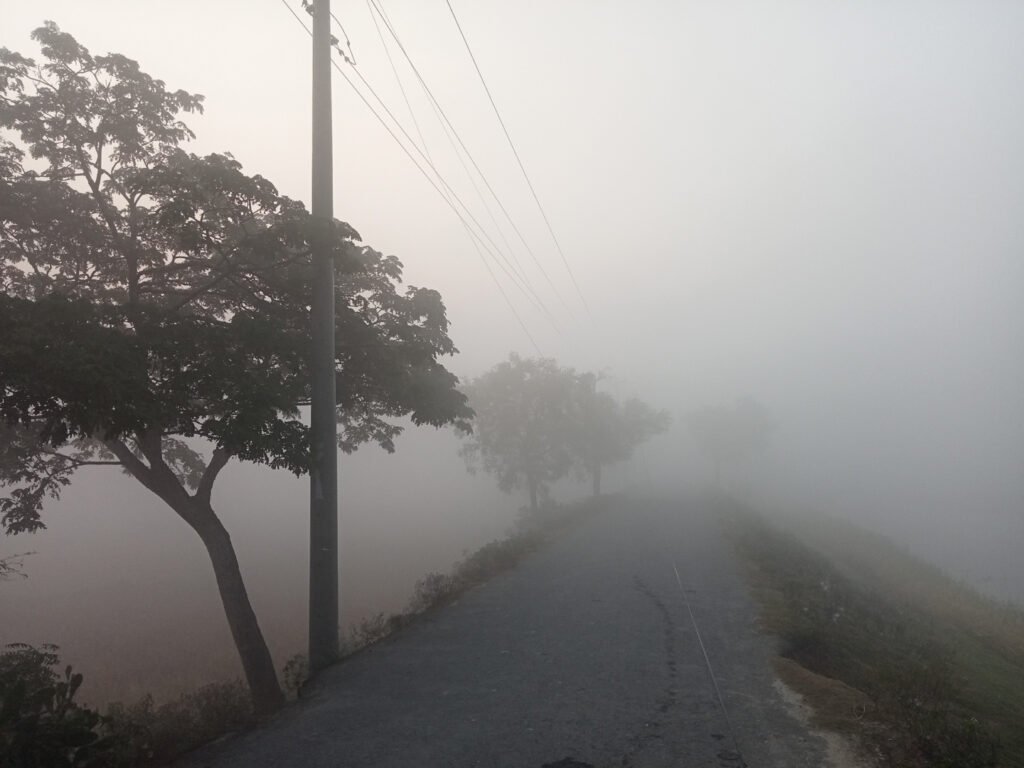 জানুয়ারিতে তীব্র শীতের আভাস, আসছে কয়েকদফা শৈত্যপ্রবাহ 1 1 1