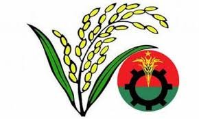 ধানের শীস