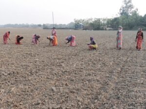 সর্বশেষ 14 Mashrur Pic 7.3 2