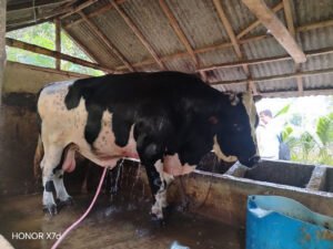 সর্বশেষ 2 22