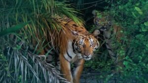 3 4