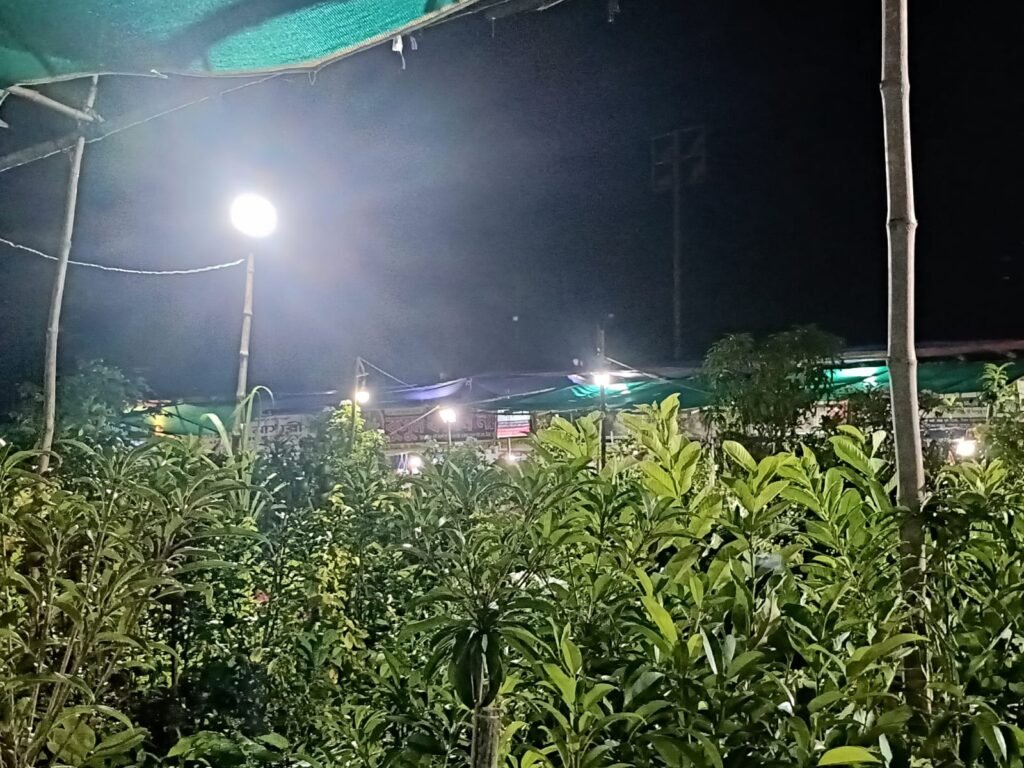 জমি নেই, উঠোন নেই তবু সবুজের সংসার 1 WhatsApp Image 2026 08 10 at 9.14.30 PM